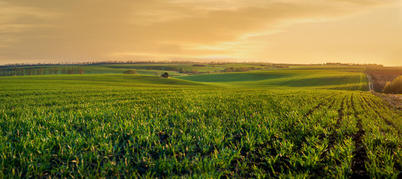 Premium Farmlands